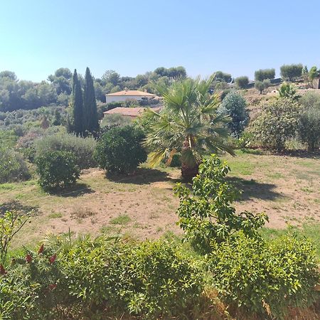 Studio Cocooning - Mer et Montagne- Saint Paul de Vence Extérieur photo